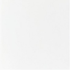 Flat Satin White Wall 248mm x 398mm CAN41813
