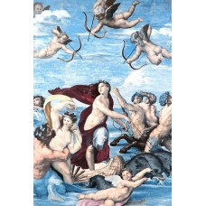 Original Style Masterpiece Tile Raphael Galatea 560 x 420mm | 22 x 16inch 6365