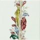 Original Style Flower RHS On Brilliant White Plant And Urn Border 152 x 152mm | 6 x 6inch 6032A
