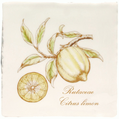 W.HP2523 Winchester Lemon on Papyrus Decorated Tile 130 x 130 mm 