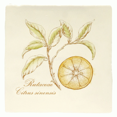 W.HP2521 Winchester Orange on Papyrus Decorated Tile 130 x 130 mm 