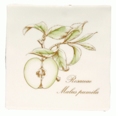 W.HP2520 Winchester Apple on Papyrus Decorated Tile 130 x 130 mm 