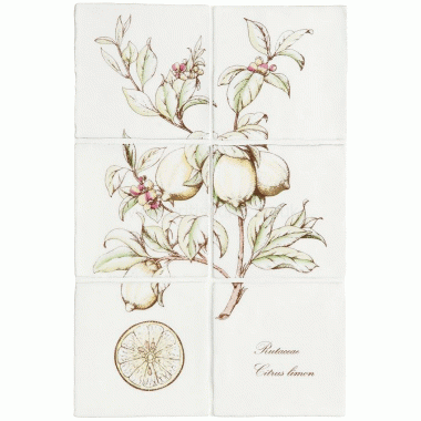 W.HP2527 Winchester Lemon 6 tile panel on Papyrus Decorated Tile 260 x 390 mm 