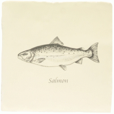 W.2511VPL Winchester Salmon on Palomino Decorated Tile 130 x 130 mm 