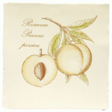 W.HP2525 Winchester Peach on Papyrus Decorated Tile 130 x 130 mm 