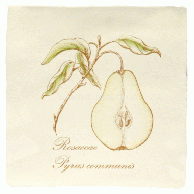 W.HP2522VPL Winchester Pear on Palomino Decorated Tile 130 x 130 mm 