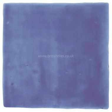 W.VAG2005 Winchester Residence Cosmopolitan Agapanthus Field Tile 130 x 130mm 