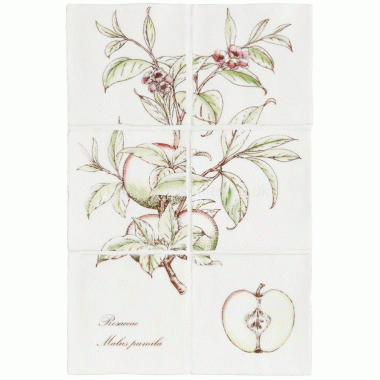 W.HP2526VPL Winchester Apple 6 tile panel on Palomino Decorated Tile 260 x 390 mm 