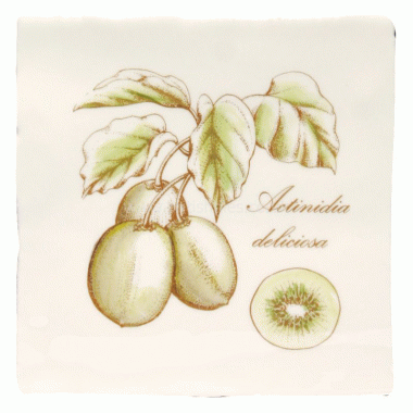 W.HP2524 Winchester Kiwi on Papyrus Decorated Tile 130 x 130 mm 